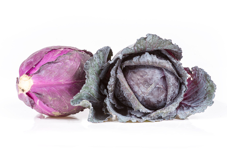 purple cabbage isolated on white backgroundの写真素材