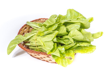 garden beet (table beet) in a basket on white backgroundの写真素材