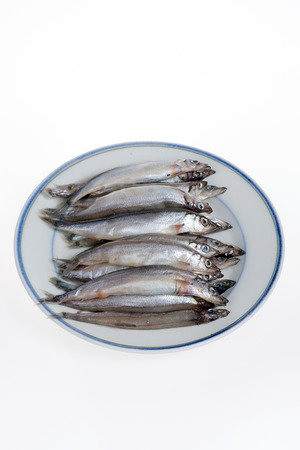 Capelin on a plate isolated on white backgroundの写真素材