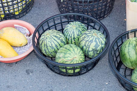watermelonの写真素材