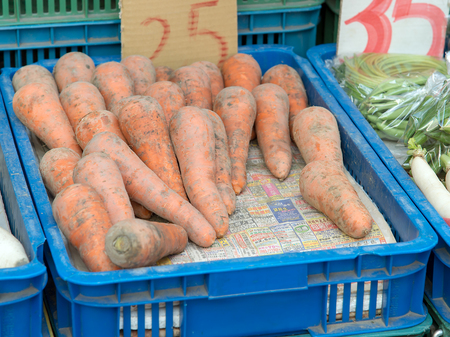 carrots in a basketの写真素材