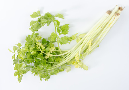 celery isolated on white backgroundの写真素材