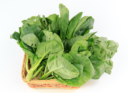 chinese kaleの写真素材