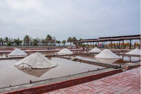 Qigu Salt Mountain, Taiwan- March 11, 2017: salt pan in Qigu Salt Mountain, Taiwanのeditorial素材