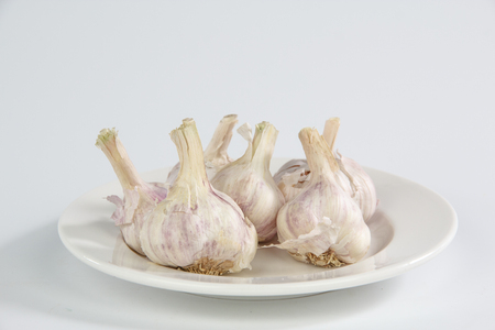 garlic isolated on white backgroundの写真素材