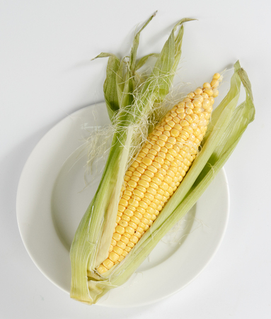 corn on a plate isolated on white backgroundの写真素材