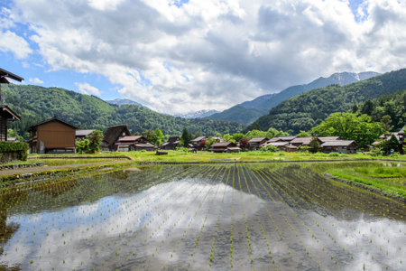 Japan, Shirakawa-go June 2 2017: Historic Villages of Shirakawa-go and Gokayama in spring, travel landmark of Japanのeditorial素材