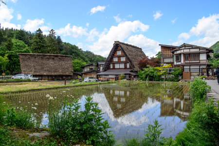 Japan, Shirakawa-go June 2 2017: Historic Villages of Shirakawa-go and Gokayama in spring, travel landmark of Japanのeditorial素材