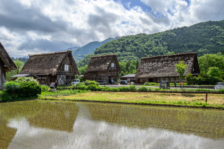 Japan, Shirakawa-go June 2 2017: Historic Villages of Shirakawa-go and Gokayama in spring, travel landmark of Japanのeditorial素材