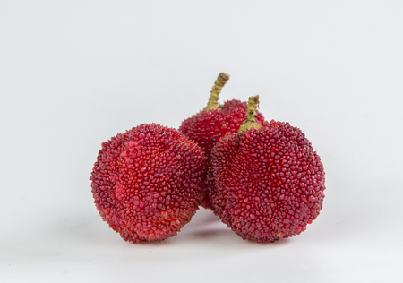 Arbutus on white backgroundの写真素材