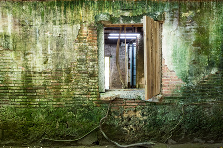 Tainan, Taiwan - July 12, 2017 Anping Tree House. This old warehouse is covered by branched of ancient Banyan Tree branch which is respected as sacred tree. It was original warehouse of Tait & Co.のeditorial素材
