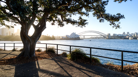 Sydney Opera House and Harbor Bridge, Sydney Harbor, Australia.のeditorial素材