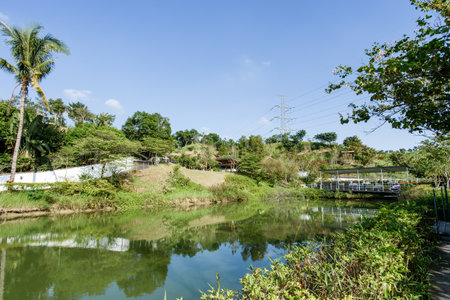 Tainan, Taiwan-November 17, 2017: Beauty views, blue sky and green trees in White Church Park for Tourism and Photo Shooting in Yujing.のeditorial素材