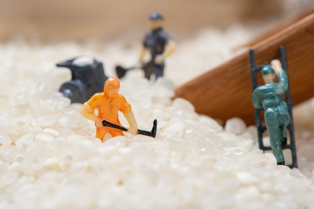 Miniature people: Men are working hard in raw rice mountain in a bamboo basket, the concept of labor. No pain, no gain.の写真素材