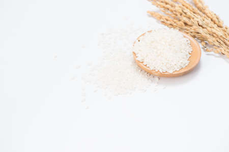 White rice in wooden bowl and unmilled rice isolated on white backgroundの写真素材