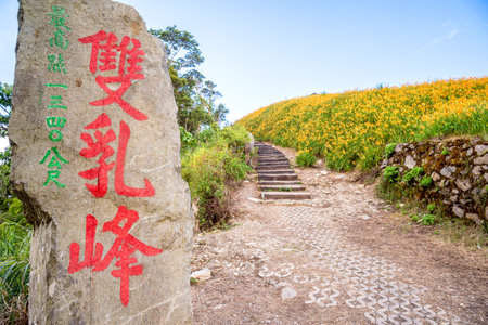 Taitung, Taiwan August 13, 2018:the daylily hillside landmark at Taimali Mountain, Taitung East Rift Valley of Taiwanのeditorial素材