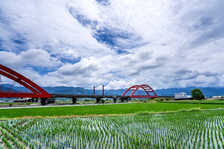 Hualien, Taiwan-August 14, 2018: A train across a m-type Red Bridge on the lush paddy fields, is Taiwan sight in East on August 14 2018 in Hualien, Taiwanのeditorial素材