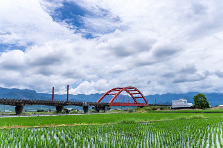 Hualien, Taiwan-August 14, 2018: A train across a m-type Red Bridge on the lush paddy fields, is Taiwan sight in East on August 14 2018 in Hualien, Taiwanのeditorial素材