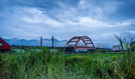 Hualien, Taiwan-August 14, 2018: Rural scenery with green paddy rice farm in Hualien, Taiwan, Asia.のeditorial素材
