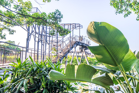 The Anping Tree House is a former warehouse in Anping District, Tainan, Taiwan. Theの写真素材
