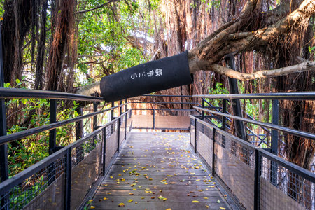 Tainan Anping, Taiwan - September 20, 2018: Anping Tree House at Anping District, Taiwan on September 20, 2018. This old warehouse is covered by branched of ancient Banyan Tree which is respected as sacred tree.のeditorial素材