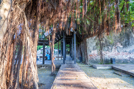 Tainan Anping, Taiwan - September 20, 2018: Anping Tree House at Anping District, Taiwan on September 20, 2018. This old warehouse is covered by branched of ancient Banyan Tree which is respected as sacred tree.のeditorial素材