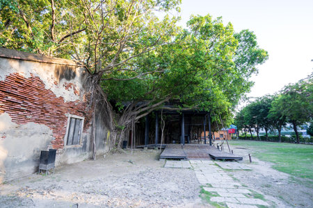 Tainan Anping, Taiwan - September 20, 2018: Anping Tree House at Anping District, Taiwan on September 20, 2018. This old warehouse is covered by branched of ancient Banyan Tree which is respected as sacred tree.のeditorial素材