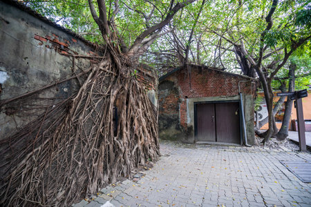 Tainan Anping, Taiwan - September 20, 2018: Anping Tree House at Anping District, Taiwan on September 20, 2018. This old warehouse is covered by branched of ancient Banyan Tree which is respected as sacred tree.のeditorial素材