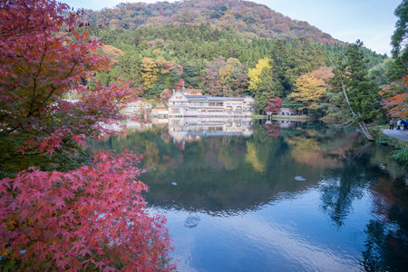 Yufuin Kinrinko, Japan, November 07, 2018: Beautiful red maple leaves at lake kinrinko, oita, Japan.
