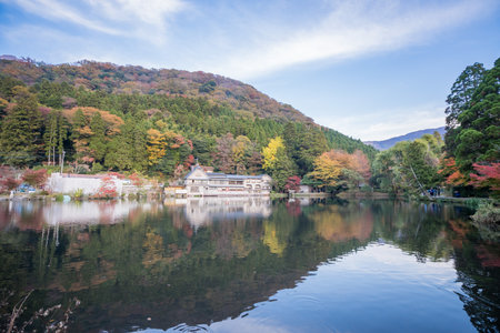 Yufuin Kinrinko, Japan, November 07, 2018: Beautiful red maple leaves at lake kinrinko, oita, Japan.