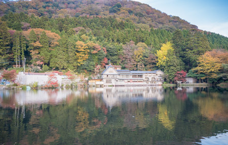 Yufuin Kinrinko, Japan, November 07, 2018: Beautiful red maple leaves at lake kinrinko, oita, Japan.のeditorial素材