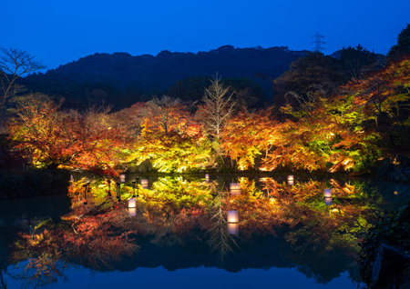 Beautiful Japanese garden named Mifuneyama Rakuen in autumn night view with maple leaves and lake reflection.のeditorial素材