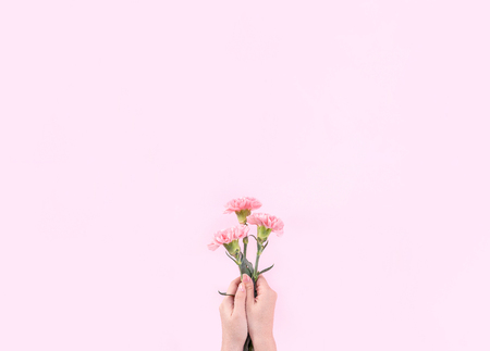 Woman giving bunch of elegance blooming baby pink color tender carnations isolated on bright pink background, mothers day decor design concept, top view, close up, copy spaceの写真素材
