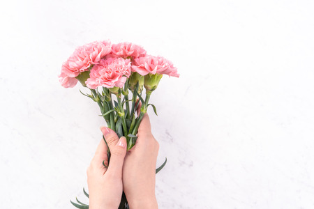 Woman giving bunch of elegance blooming baby pink color tender carnations isolated on bright marble...