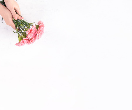 Woman giving bunch of elegance blooming baby pink color tender carnations isolated on bright marble background, mothers day decor design concept, top view, close up, copy spaceの写真素材