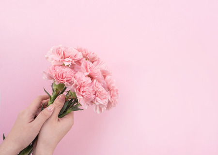 Woman giving bunch of elegance blooming baby pink color tender carnations isolated on pale pink background, mothers day decor design concept, top view, close up, copy spaceの写真素材