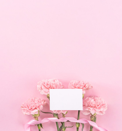Top view, flay lay, copy space, close up, mock up, mothers day thanks design concept. Beautiful fresh blooming baby pink color carnations isolated on bright pink backgroundの写真素材
