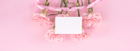 Top view, flay lay, copy space, close up, mock up, mothers day thanks design concept. Beautiful fresh blooming baby pink color carnations isolated on bright pink backgroundの写真素材