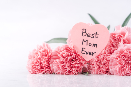 Mothers day concept design. Beautiful fresh blooming baby pink color carnations isolated on bright white background.の写真素材