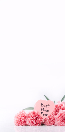 Mothers day concept design. Beautiful fresh blooming baby pink color carnations isolated on bright white background.の写真素材