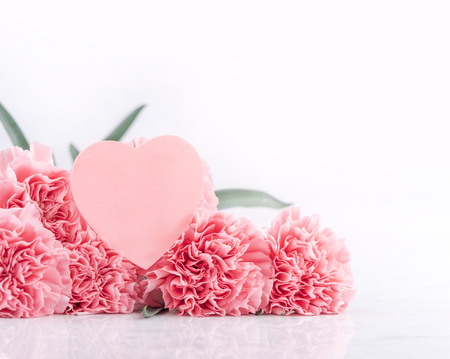 Mothers day concept design. Beautiful fresh blooming baby pink color carnations isolated on bright white background.の写真素材