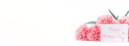 Mothers day concept design. Beautiful fresh blooming baby pink color carnations isolated on bright white background.の写真素材