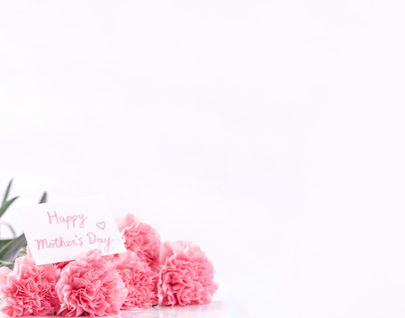 Mothers day concept design. Beautiful fresh blooming baby pink color carnations isolated on bright white background.の写真素材