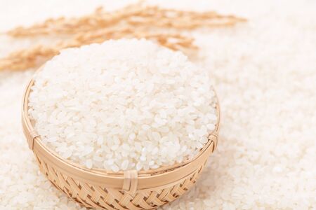 Raw white polished milled edible rice crop on white background in brown bowl, organic agriculture design concept. Staple food of Asia, close up.の写真素材