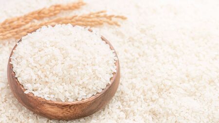 Raw white polished milled edible rice crop on white background in brown bowl, organic agriculture design concept. Staple food of Asia, close up.の写真素材