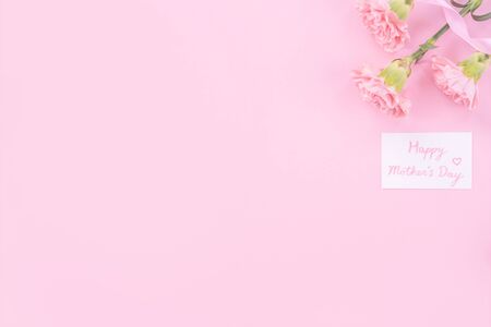 Beautiful, fresh elegant carnation flower bouquet with white greeting thanks gift card isolated on bright pink color background, top view, flat lay concept.の写真素材