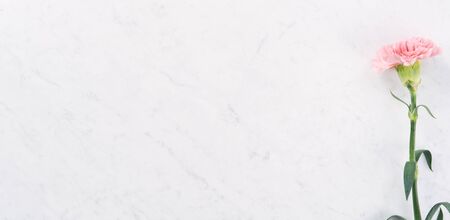 Beautiful, elegant pink carnation flower over bright white marble table background, concept of Mother's Day flower gift, top view, flat lay, overheadの写真素材