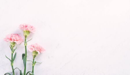 Beautiful, elegant pink carnation flower over bright white marble table background, concept of Mother's Day flower gift, top view, flat lay, overheadの写真素材
