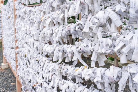 Saga, Japan - Nov. 12, 2018: Japanese random fortune telling paper (Omikuji) folded and tied on rope wires (Omikuji kake) in traditional temple, concept of bringing blessing.のeditorial素材
