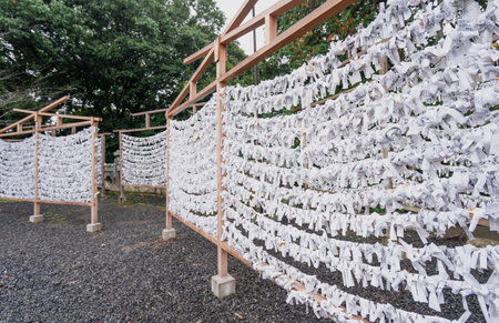 Saga, Japan - Nov. 12, 2018: Japanese random fortune telling paper (Omikuji) folded and tied on rope wires (Omikuji kake) in traditional temple, concept of bringing blessing.のeditorial素材